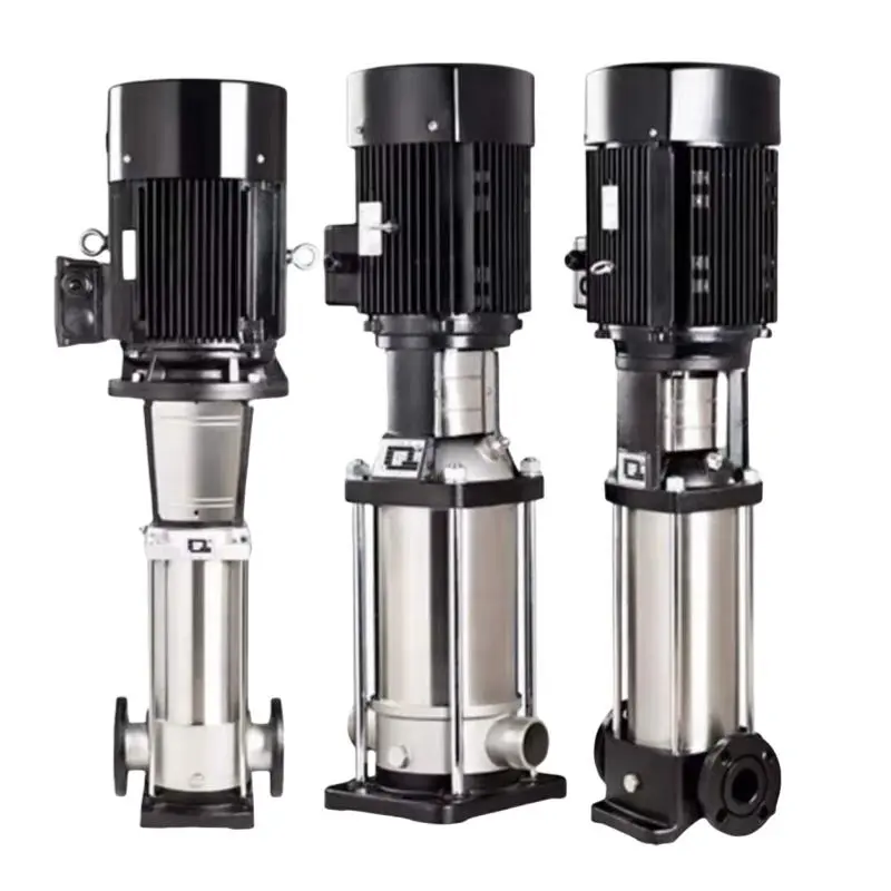 جوكي صيني 4 حصان بيروتي